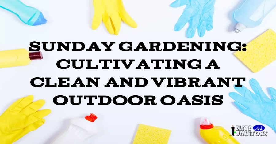 Sunday Gardening: Cultivating a Clean and Vibrant Outdoor Oasis