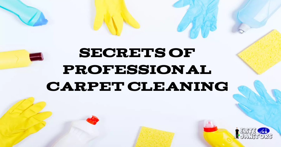 Secrets of Professional Carpet Cleaning: A Comprehensive Guide for Immaculate Carpets
